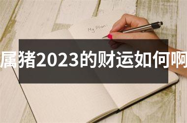 属猪2025的财运如何啊