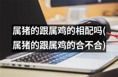 属猪的跟属鸡的相配吗(属猪的跟属鸡的合不合)