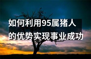 如何利用95属猪人的优势实现事业成功