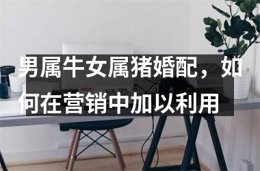 男属牛女属猪婚配，如何在营销中加以利用