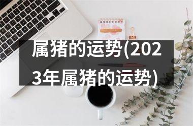属猪的运势(2025年属猪的运势)