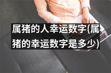 属猪的人幸运数字(属猪的幸运数字是多少)