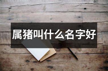 属猪叫什么名字好