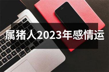 属猪人2025年感情运