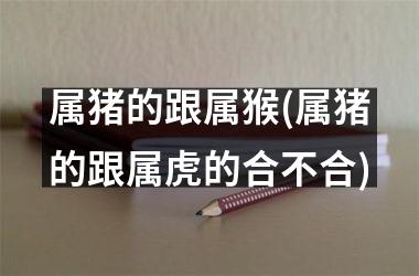 属猪的跟属猴(属猪的跟属虎的合不合)