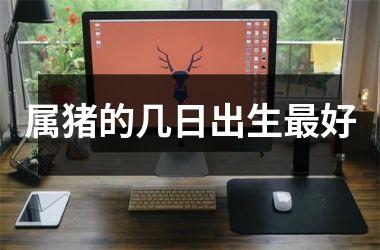 属猪的几日出生好