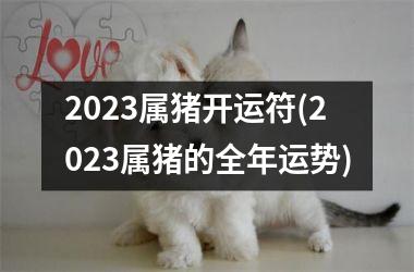 2025属猪开运符(2025属猪的全年运势)