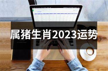 属猪生肖2025运势