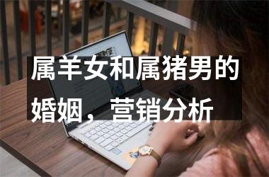属羊女和属猪男的婚姻，营销分析