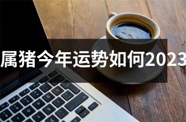 属猪今年运势如何2025