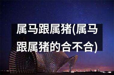 属马跟属猪(属马跟属猪的合不合)