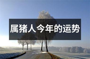 属猪人今年的运势