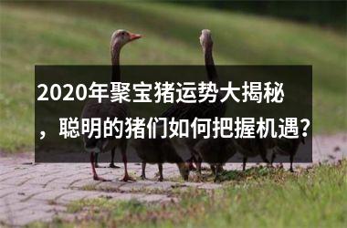 2025年聚宝猪运势大揭秘，聪明的猪们如何把握机遇？
