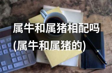 <h3>属牛和属猪相配吗(属牛和属猪的)