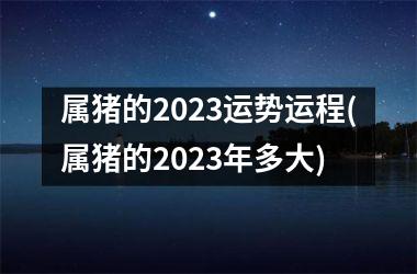 属猪的2025运势运程(属猪的2025年多大)