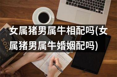 女属猪男属牛相配吗(女属猪男属牛婚姻配吗)