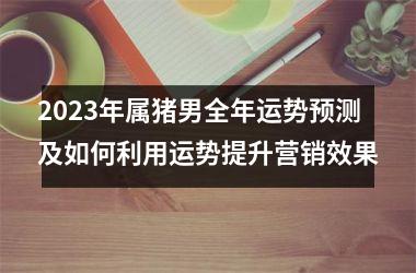 2025年属猪男全年运势预测及如何利用运势提升营销效果