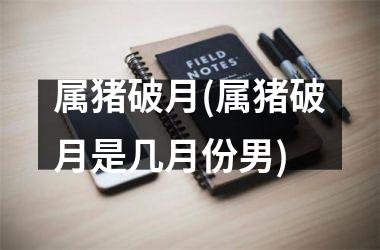 属猪破月(属猪破月是几月份男)