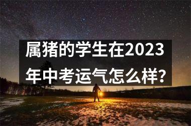<h3>属猪的学生在2025年中考运气怎么样？