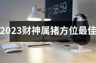 2025财神属猪方位佳