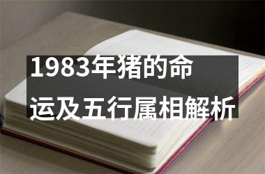 <h3>1983年猪的命运及五行属相解析
