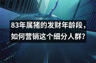 83年属猪的发财年龄段，如何营销这个细分人群？