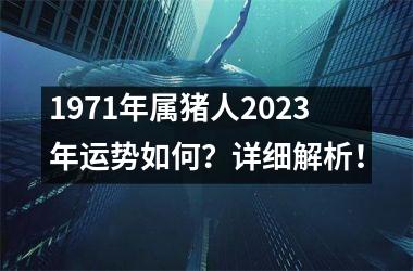 <h3>1971年属猪人2025年运势如何？详细解析！