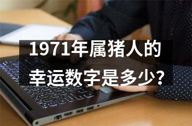 1971年属猪人的幸运数字是多少？