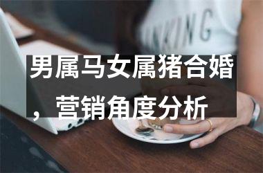 男属马女属猪合婚，营销角度分析