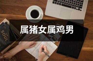 属猪女属鸡男
