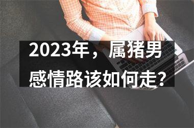 2025年，属猪男感情路该如何走？