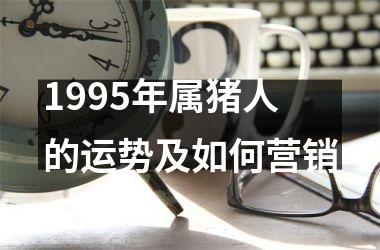 1995年属猪人的运势及如何营销