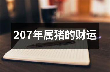 207年属猪的财运