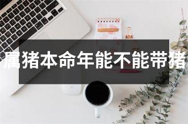 属猪本命年能不能带猪