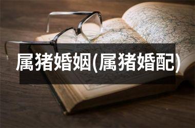 属猪婚姻(属猪婚配)