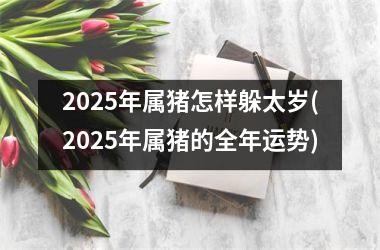 2025年属猪怎样躲太岁(2025年属猪的全年运势)