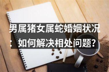 男属猪女属蛇婚姻状况：如何解决相处问题？