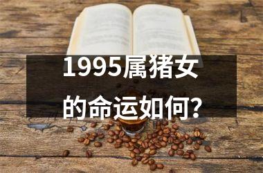 1995属猪女的命运如何？