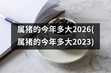 属猪的今年多大2026(属猪的今年多大2025)