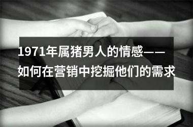 <h3>1971年属猪男人的情感——如何在营销中挖掘他们的需求