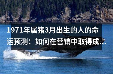 1971年属猪3月出生的人的命运预测：如何在营销中取得成功？