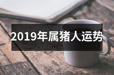2019年属猪人运势