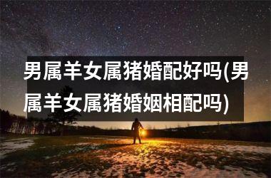 男属羊女属猪婚配好吗(男属羊女属猪婚姻相配吗)