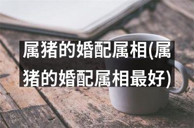 属猪的婚配属相(属猪的婚配属相好)