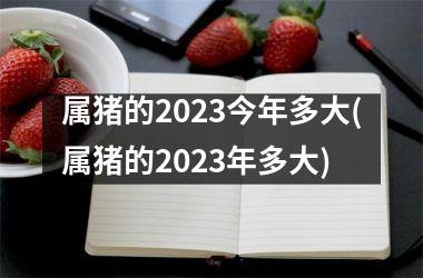 属猪的2025今年多大(属猪的2025年多大)