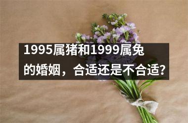 1995属猪和1999属兔的婚姻，合适还是不合适？