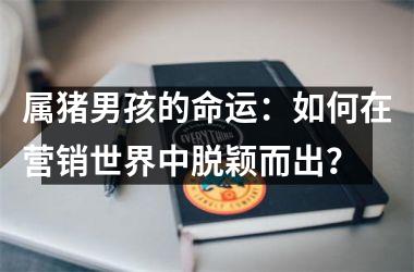 属猪男孩的命运：如何在营销世界中脱颖而出？