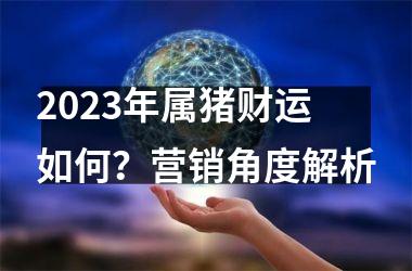 2025年属猪财运如何？营销角度解析