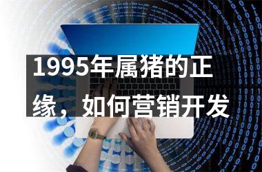 <h3>1995年属猪的正缘，如何营销开发