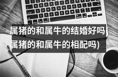 属猪的和属牛的结婚好吗(属猪的和属牛的相配吗)